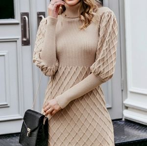 NWT turtleneck ribbed sweater dress